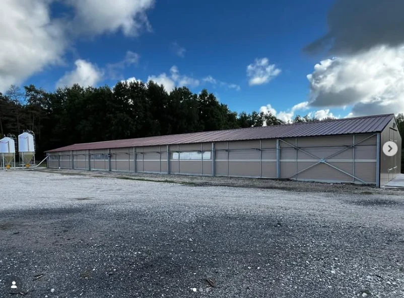 Bâtiment d’élevage en bardage métallique installé par Socma