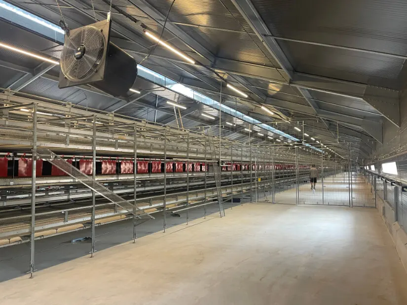 Intérieur d’un bâtiment de poules pondeuses équipé par Socma